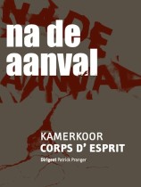 Na de aanval