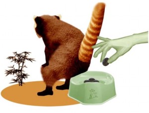 Pandapoep - illustratie Annet Scholten