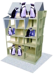 Studenthousing - pinguins - Annet Scholten