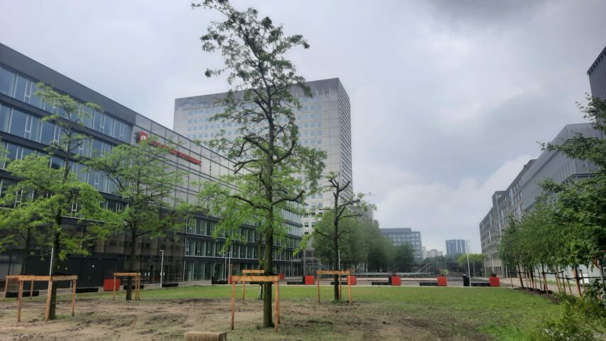 Een verlaten plein met bomen voor locatie Kralingse Zoom